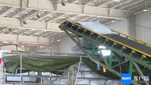 東方這個項(xiàng)目已具備生產(chǎn)功能 預(yù)計(jì)每年可處理30萬噸有機(jī)廢棄物